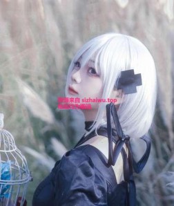 shibachipipa 福利资源合集-[130P-1.18GB]