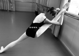 推特性瘾舞姬 上戏腐女 福利资源 68V/6.59G