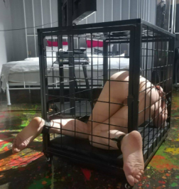 总在你背后 福利资源合集-[687P-90V-2.8G]